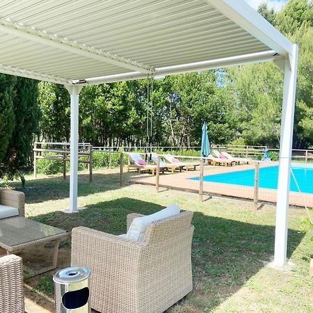 Relais Casale Il Poggetto - Olivo 1 By Zoom In Earth Apartman Cecina  Kültér fotó