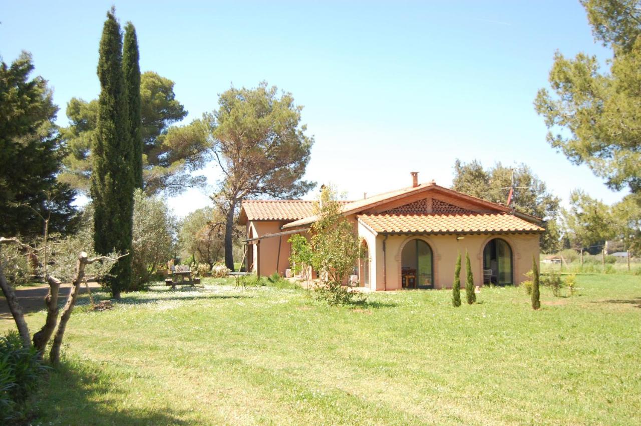 Relais Casale Il Poggetto - Olivo 1 By Zoom In Earth Apartman Cecina  Kültér fotó