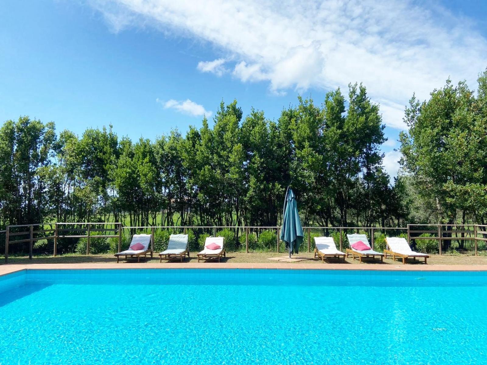 Relais Casale Il Poggetto - Olivo 1 By Zoom In Earth Apartman Cecina  Kültér fotó