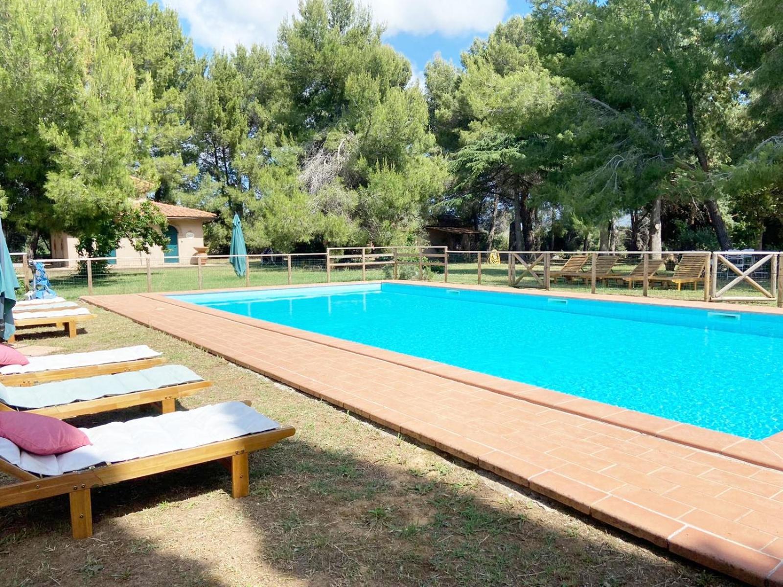 Relais Casale Il Poggetto - Olivo 1 By Zoom In Earth Apartman Cecina  Kültér fotó